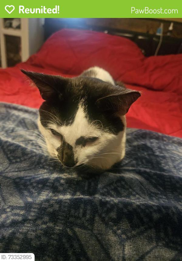 Reunited Male Cat last seen Appalachee pkwy, Tallahassee, FL 32311