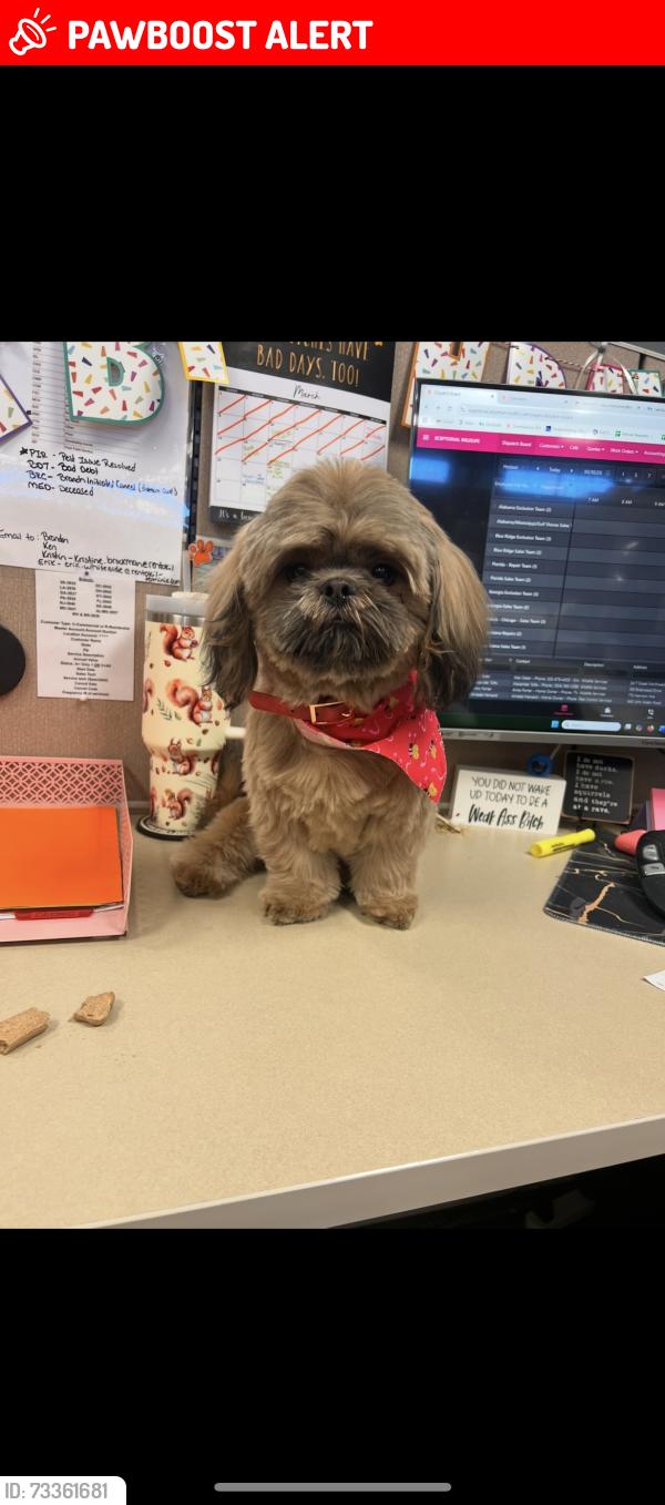 Lost Male Dog last seen Harrison rd, Spotsylvania County, VA 22407