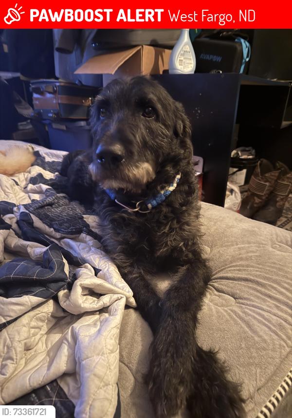 Lost Male Dog last seen 4th Ave E, West Fargo, ND 58078