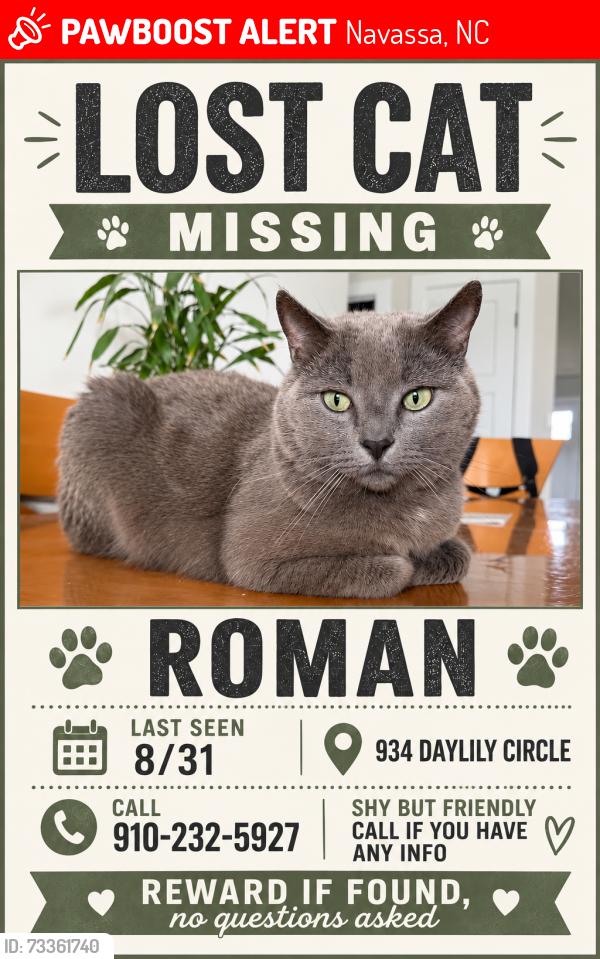 Lost Male Cat last seen lakes at riverbend, Navassa, NC 28451