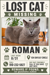 Lost Male Cat last seen lakes at riverbend, Navassa, NC 28451