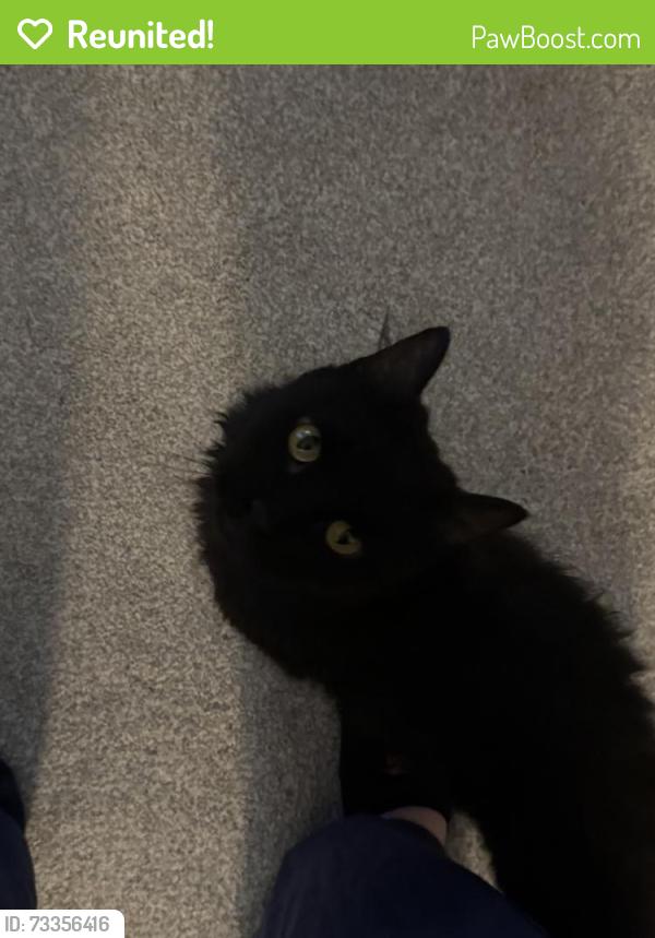 Reunited Male Cat last seen Brittany Lakes, Courtney Pines, and Murrayville, Wilmington, NC 28411