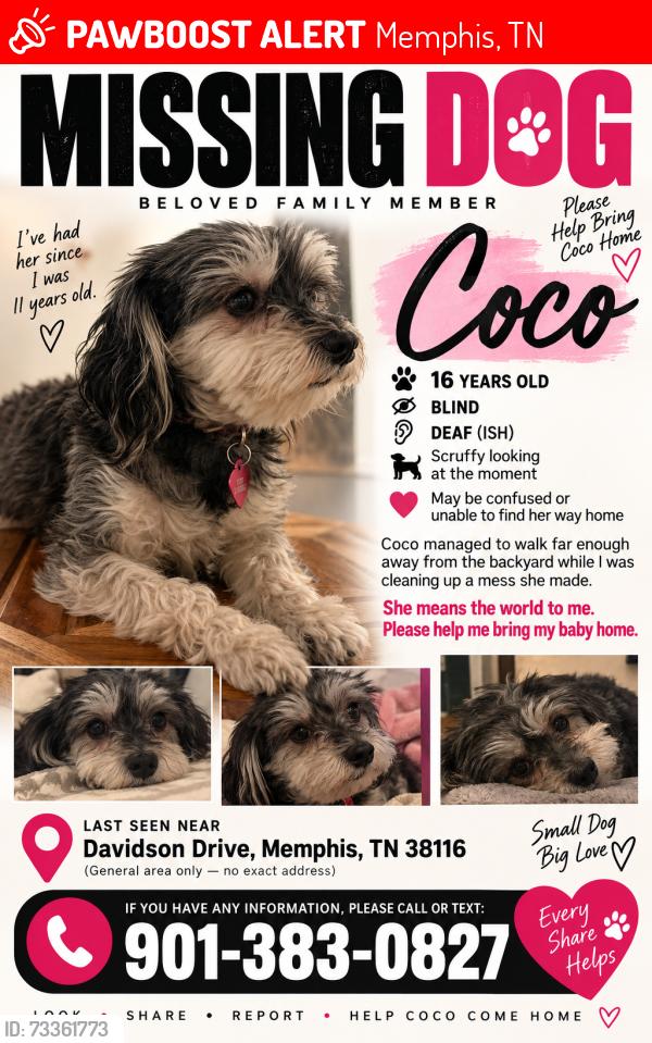 Lost Female Dog last seen Finely & Faronia Street, Memphis, TN 38116