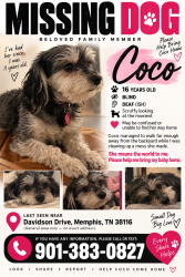 Lost Female Dog last seen Finely & Faronia Street, Memphis, TN 38116