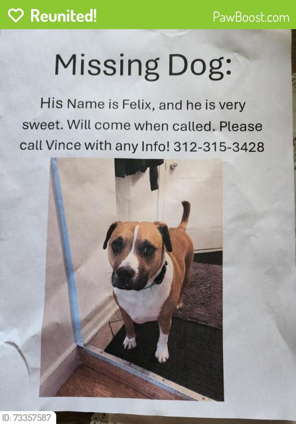 Reunited Male Dog last seen Riverside Dr, Asheville, NC 28804