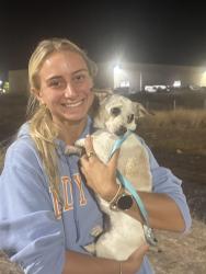 Reunited Female Dog last seen Hemingway Dr/Pleasant Grove/Foothills Blvd., Roseville, CA 95678