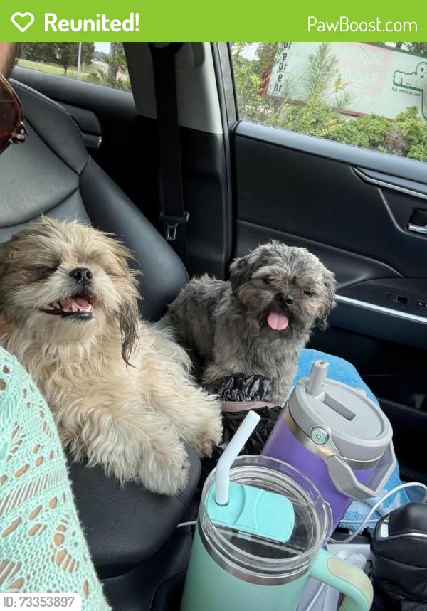 Reunited Unknown Dog last seen HWY 301 and commerce, DeSoto County, MS 38641