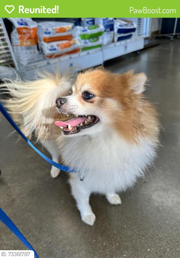 Reunited Unknown Dog last seen Near autumn crossing way, Brentwood, TN 37027