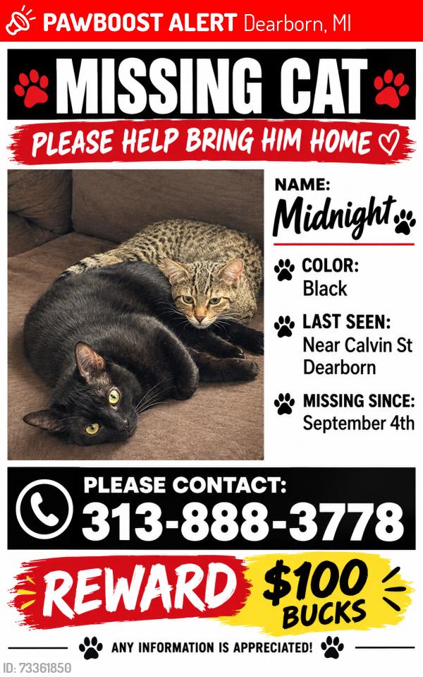 Lost Male Cat last seen Calvin st Dearborn, Dearborn, MI 48124
