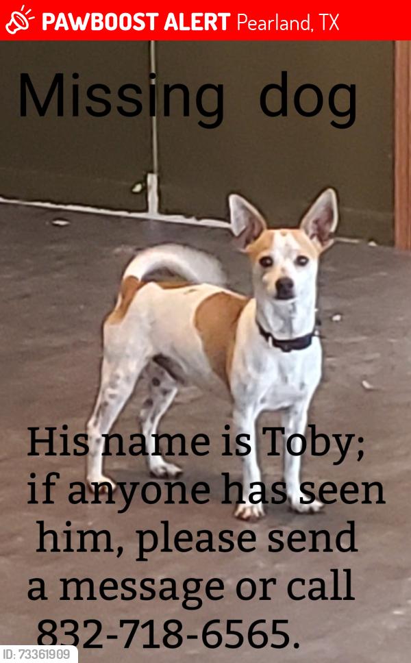 Lost Male Dog last seen Cove Ln, Pearland, TX 77584