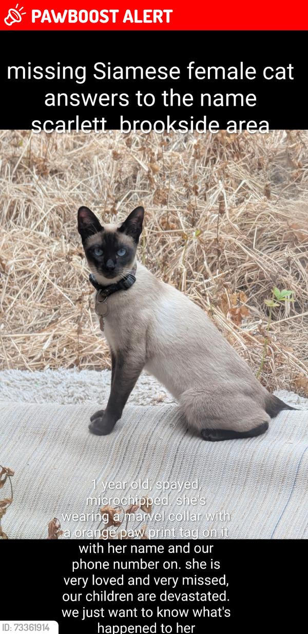 Lost Female Cat last seen Near birchmore tf31tg on top of bins, Telford and Wrekin, England TF3 1TG