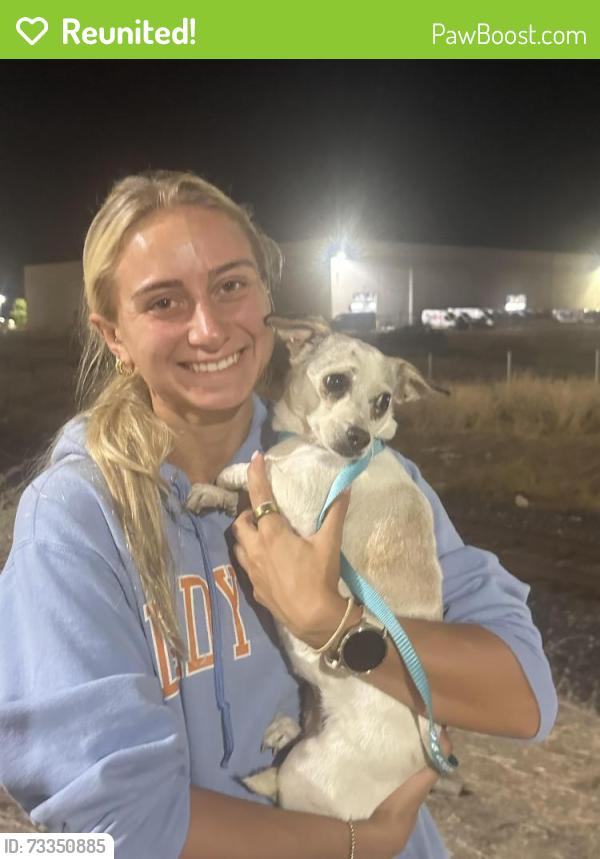 Reunited Female Dog last seen Hemingway Dr/Pleasant Grove/Foothills Blvd., Roseville, CA 95678