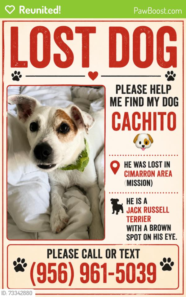 Reunited Male Dog last seen Near Rio Grande Dr., Mission, TX 78572