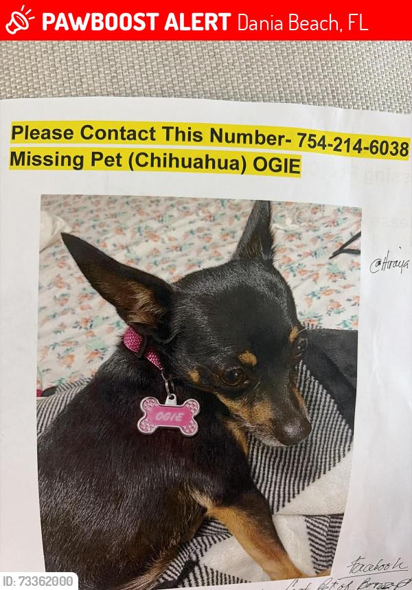 Lost Female Dog last seen Sheridan Lumber Yard - FerraraAuto shop near Railway crossing, Dania Beach, FL 33004