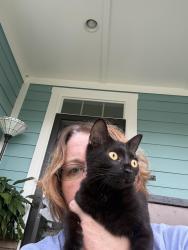Found/Stray Female Cat last seen Liberty Star Dr., Wendell, NC 27591