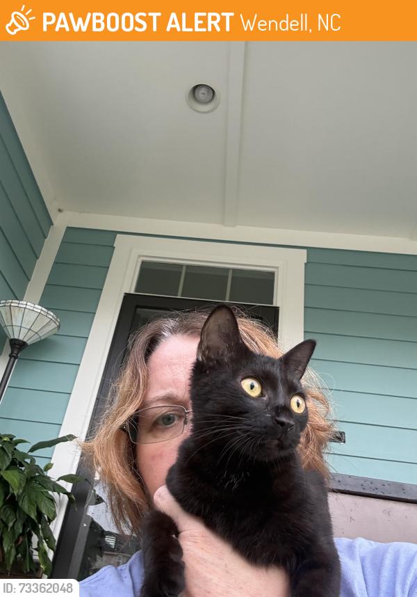 Found/Stray Female Cat last seen Liberty Star Dr., Wendell, NC 27591
