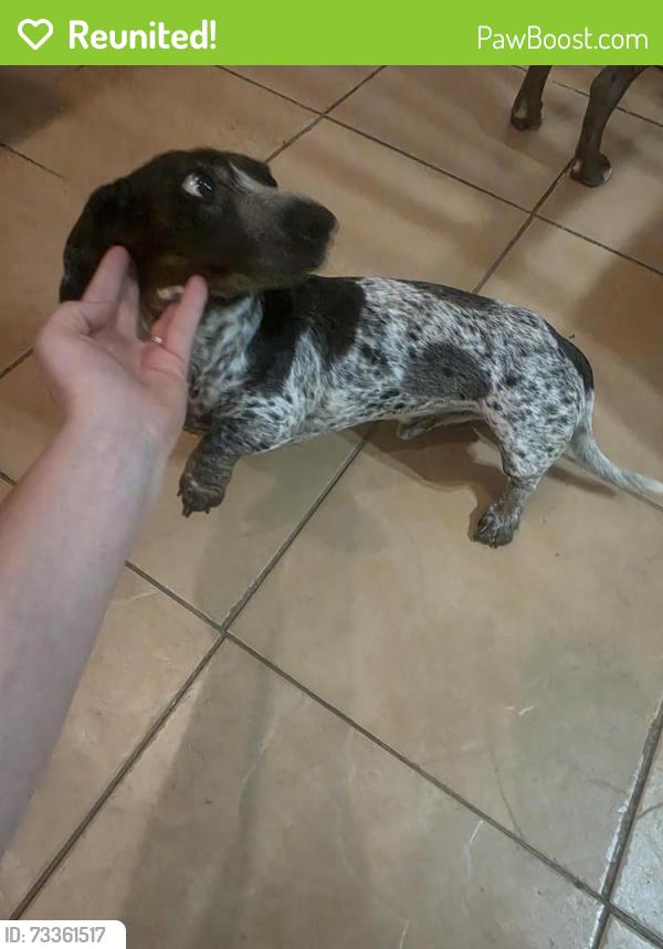 Reunited Male Dog last seen Near Ocampo Ct, Waco, TX 76708, USA, Waco, TX 76708