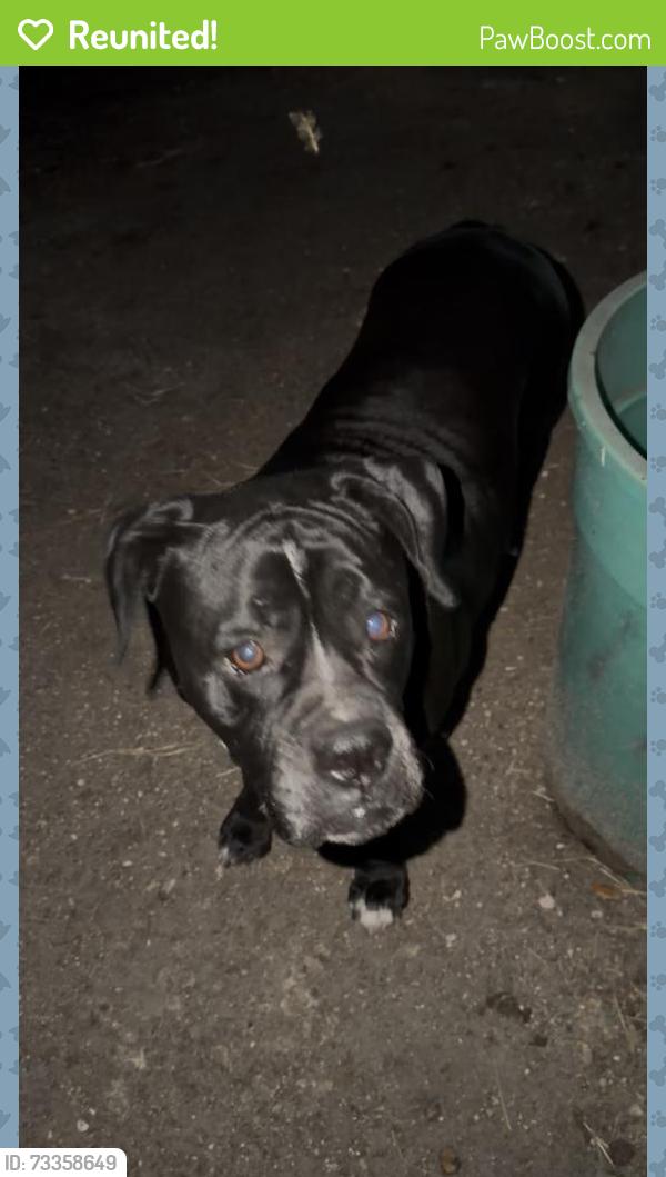 Reunited Female Dog last seen Wiles Rd and Riverside Dr, Parkland, FL 33067