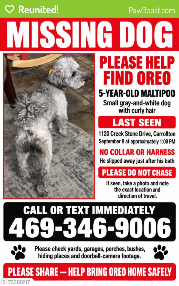 Reunited Male Dog last seen CREEKRIDGE ests, Carrollton, TX 75010