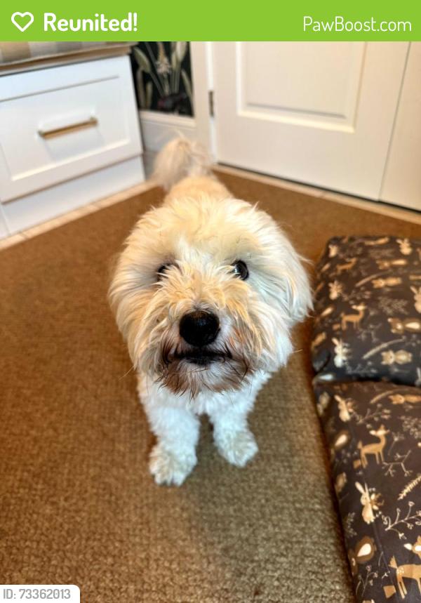 Reunited Unknown Dog last seen montview and cherry, Denver, CO 80207