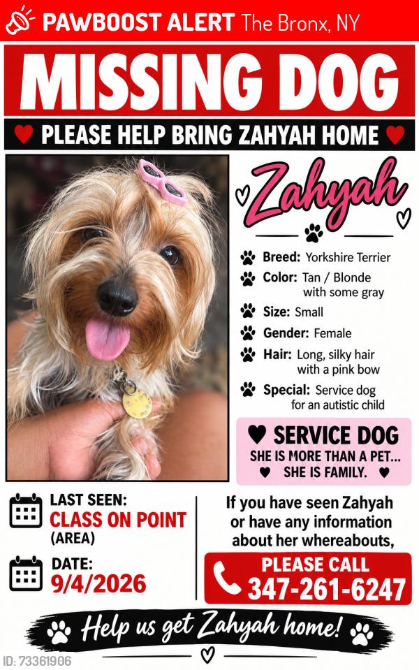 Lost Female Dog last seen Soundview, The Bronx, NY 10473