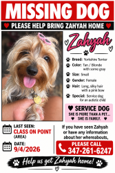 Lost Female Dog last seen Soundview, The Bronx, NY 10473