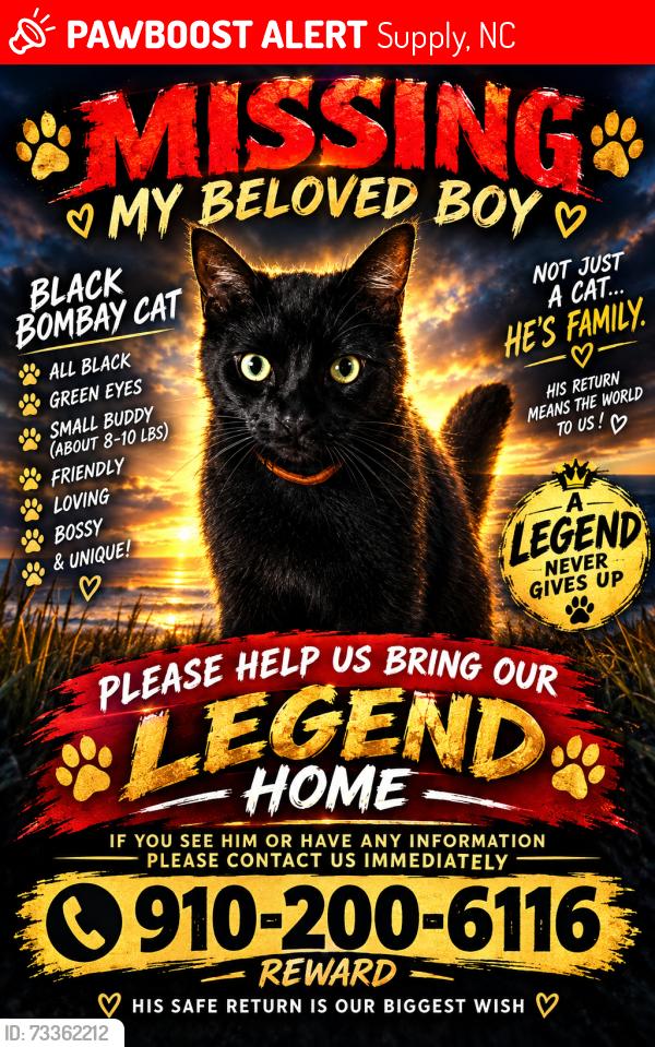Lost Male Cat last seen Stanbury road, Supply, NC 28462