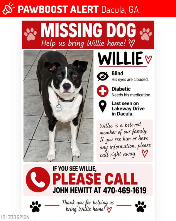 Lost Male Dog last seen Lake Park Sub, off Cain Cir, off Brasselton Hwy (hwy 124), Dacula, GA 30019