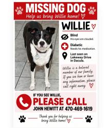 Lost Male Dog last seen Lake Park Sub, off Cain Cir, off Brasselton Hwy (hwy 124), Dacula, GA 30019