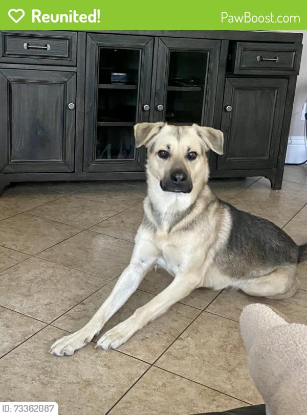 Reunited Male Dog last seen Western Blvd, Hayward, CA 94541