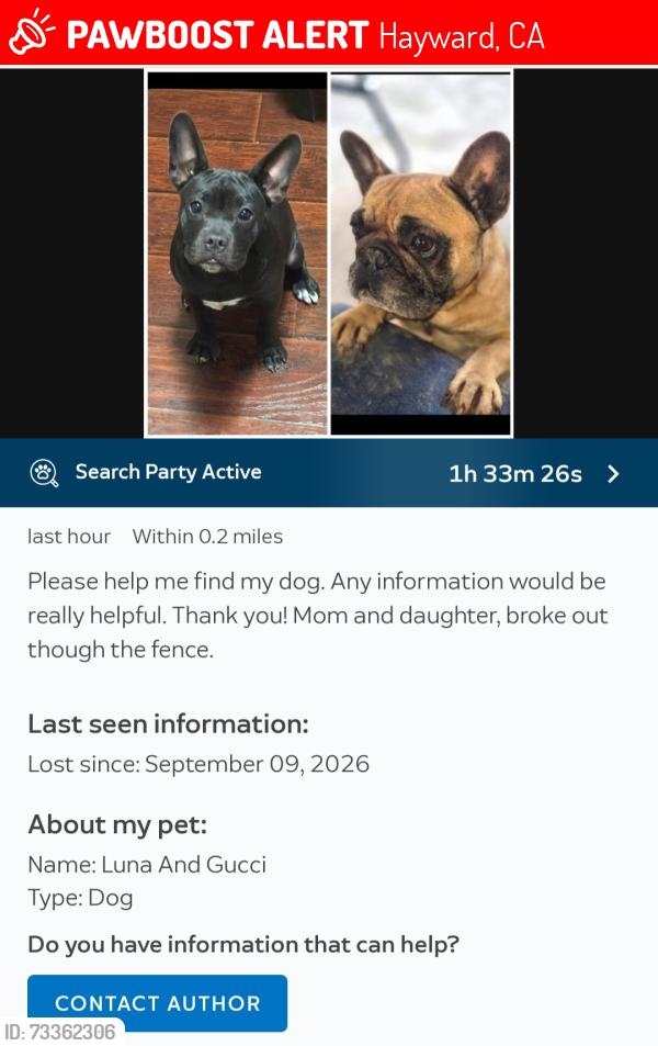 Lost Female Dog last seen Meekland Ave, Hayward, CA 94541