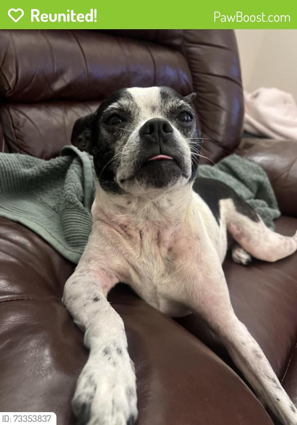Reunited Female Dog last seen Near destination at Union apmts, Gastonia, NC 28054