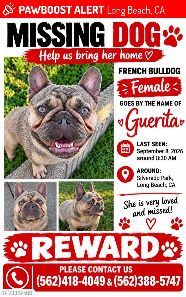 Lost Female Dog last seen Baltic, Long Beach, CA 90810