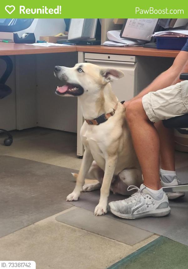 Reunited Male Dog last seen N KERR, Wilmington, NC 28405
