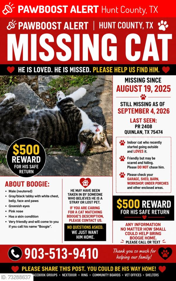 Lost Male Cat last seen PR2408, PR 2412, Hunt County, TX 75474