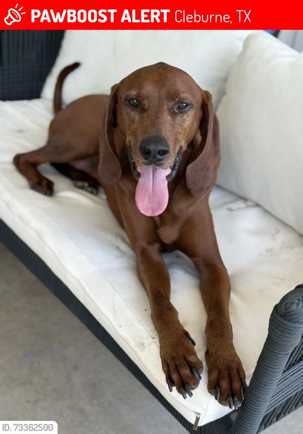 Lost Male Dog last seen Methodist church/gathering place, Cleburne, TX 76033