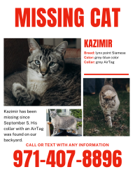 Lost Male Cat last seen Near Willivee Dr, Decatur, GA 30033