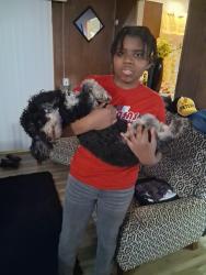 Lost Male Dog last seen Patterson rd, Florissant, MO 63031