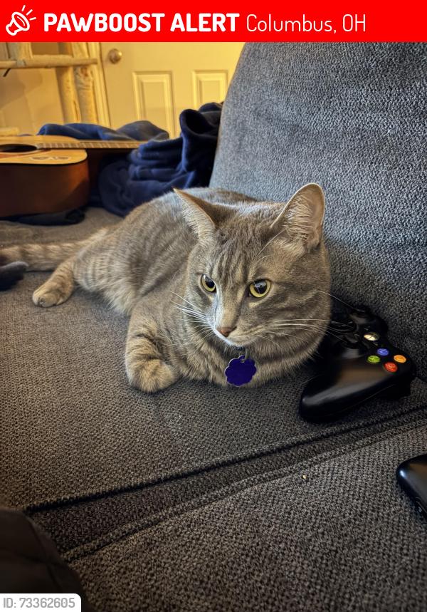 Lost Male Cat last seen Quarry Luxury apmts near 1800 suites, Columbus, OH 43204