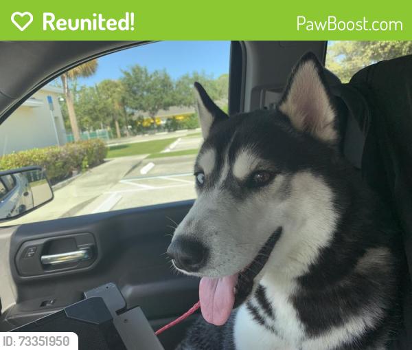 Reunited Unknown Dog last seen Port St. Lucie, Port St. Lucie, FL 34986