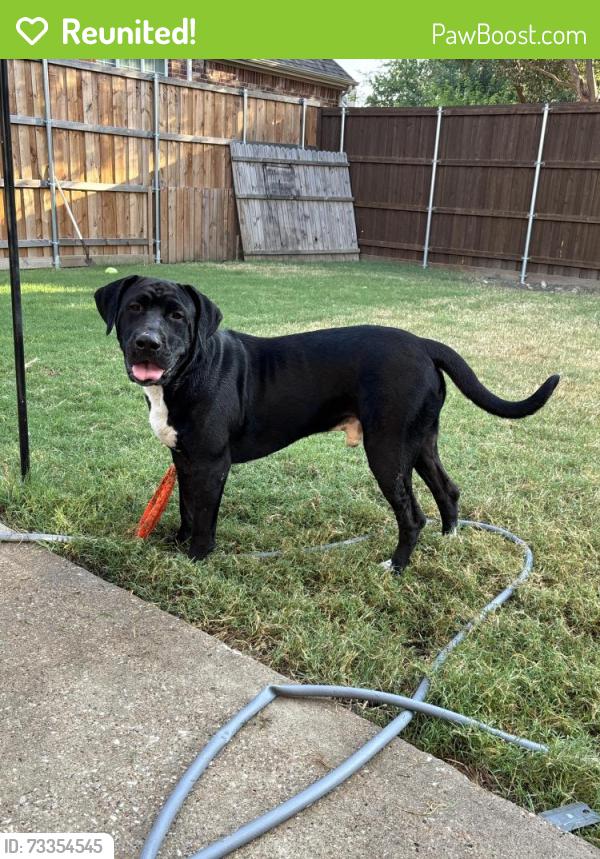 Reunited Male Dog last seen Near cr, Campbell, TX 75422