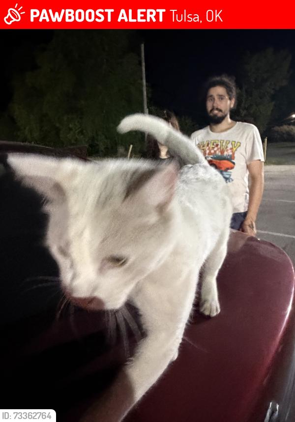Lost Unknown Cat last seen summit esp, Tulsa, OK 74107