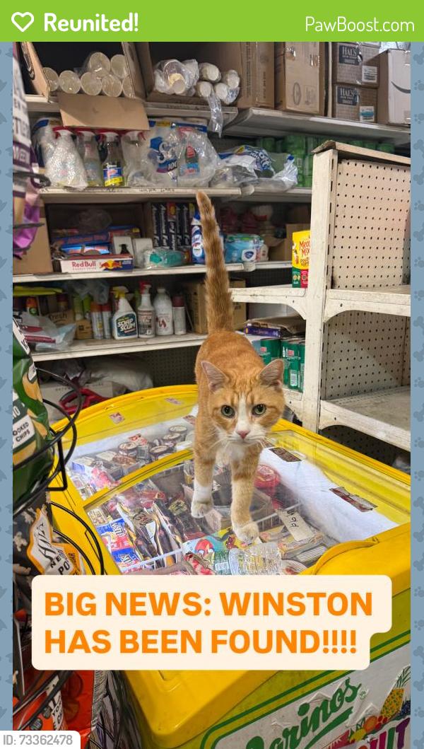 Reunited Male Cat last seen Sheeji News (Winston’s Home), Brooklyn, NY 11231