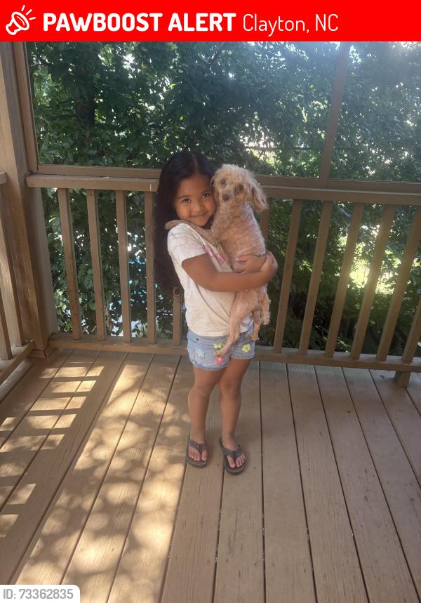 Lost Female Dog last seen Boswell ln Clayton NC 27527, Clayton, NC 27527
