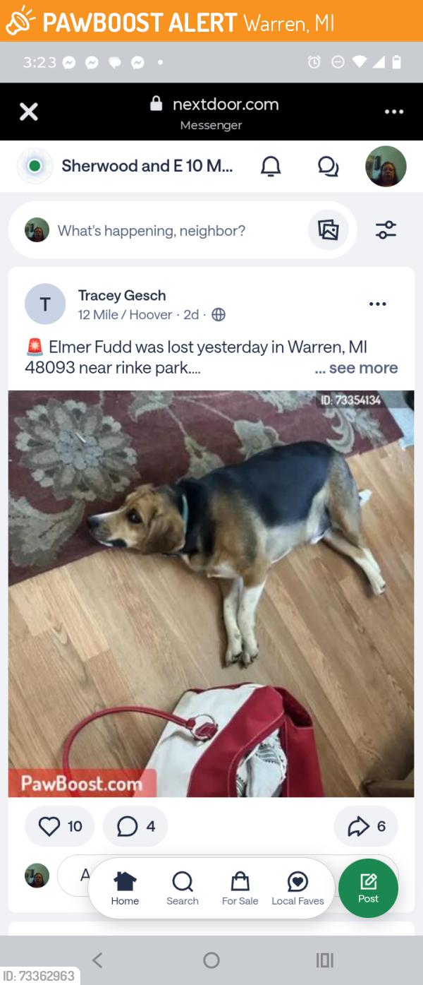 Found/Stray Male Dog last seen Loarna South of 12 mile by transformers and factory. There is a dog park next street over, Warren, MI 48093