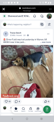 Found/Stray Male Dog last seen Loarna South of 12 mile by transformers and factory. There is a dog park next street over, Warren, MI 48093
