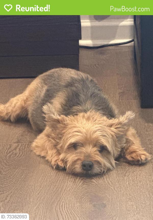 Reunited Male Dog last seen Duffy, Butler, PA 16001
