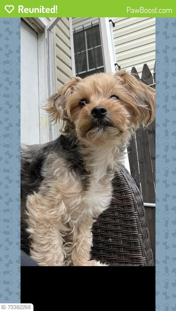 Reunited Male Dog last seen 12th avenue, Newark, NJ 07107