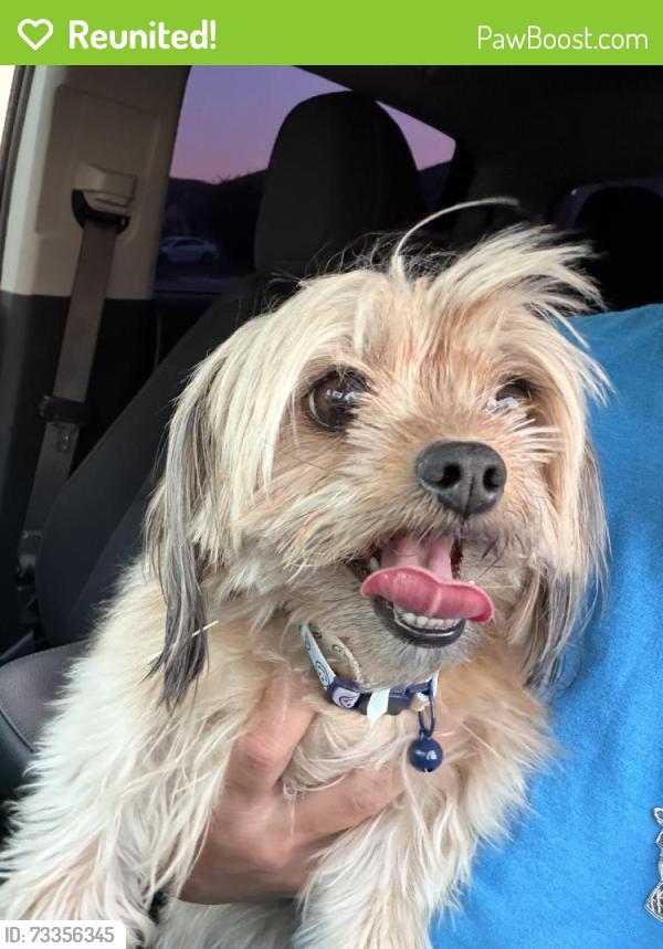 Reunited Female Dog last seen Doverglen and Desertrock, Fort Worth, TX 76131