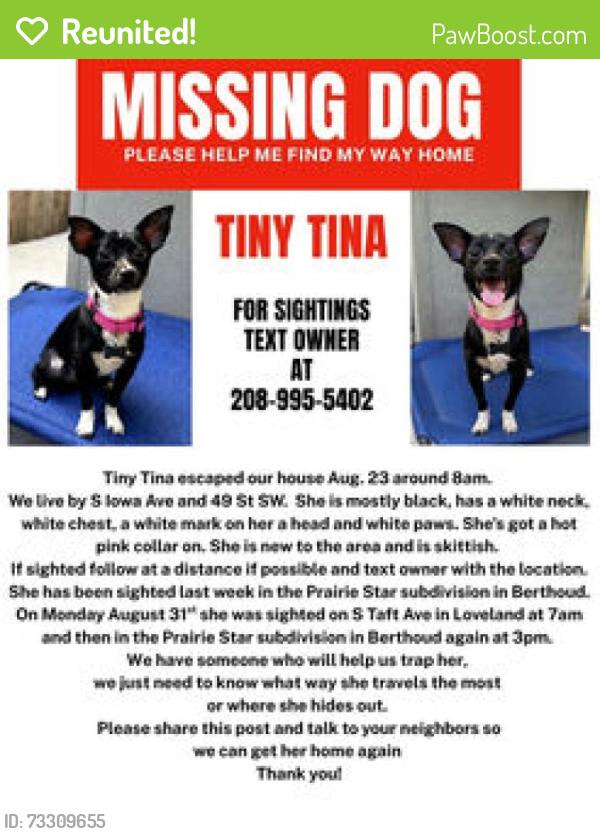 Reunited Female Dog last seen S Iowa Ave and 49th SW, Campion, CO 80537